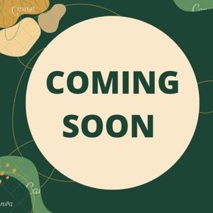 Abercrombie & Fitch shirt button up blue gingham cotton large